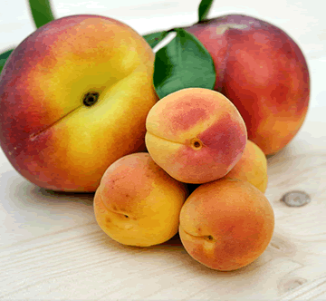 Fomo Fruit Blog Post